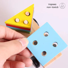 Trenulețul formelor și al culorilor, 3 ani+