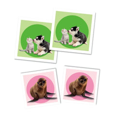 Baby animals - Găsește Perechea, 48 carduri