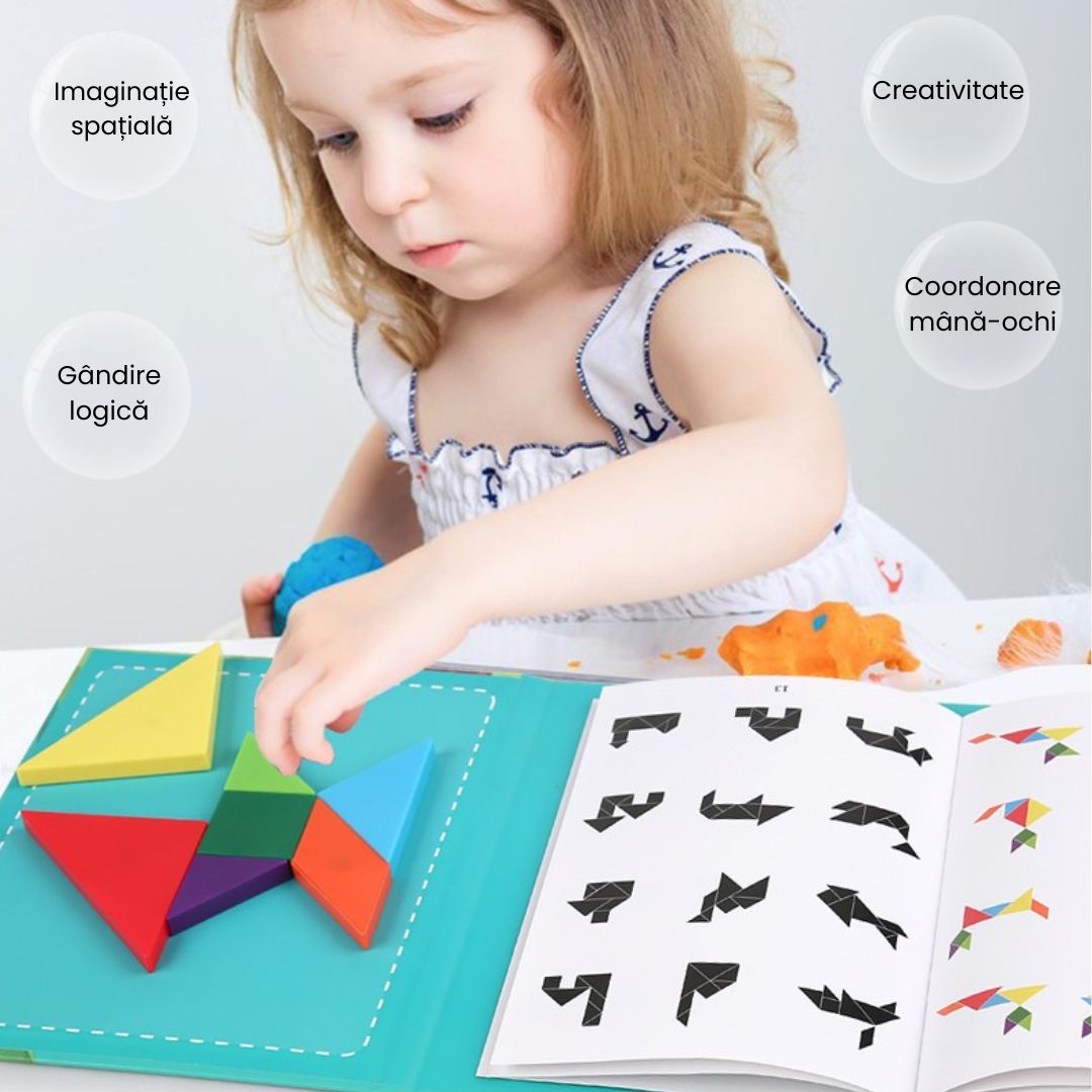 Tangram magnetic – carte educativă, 5 tematici