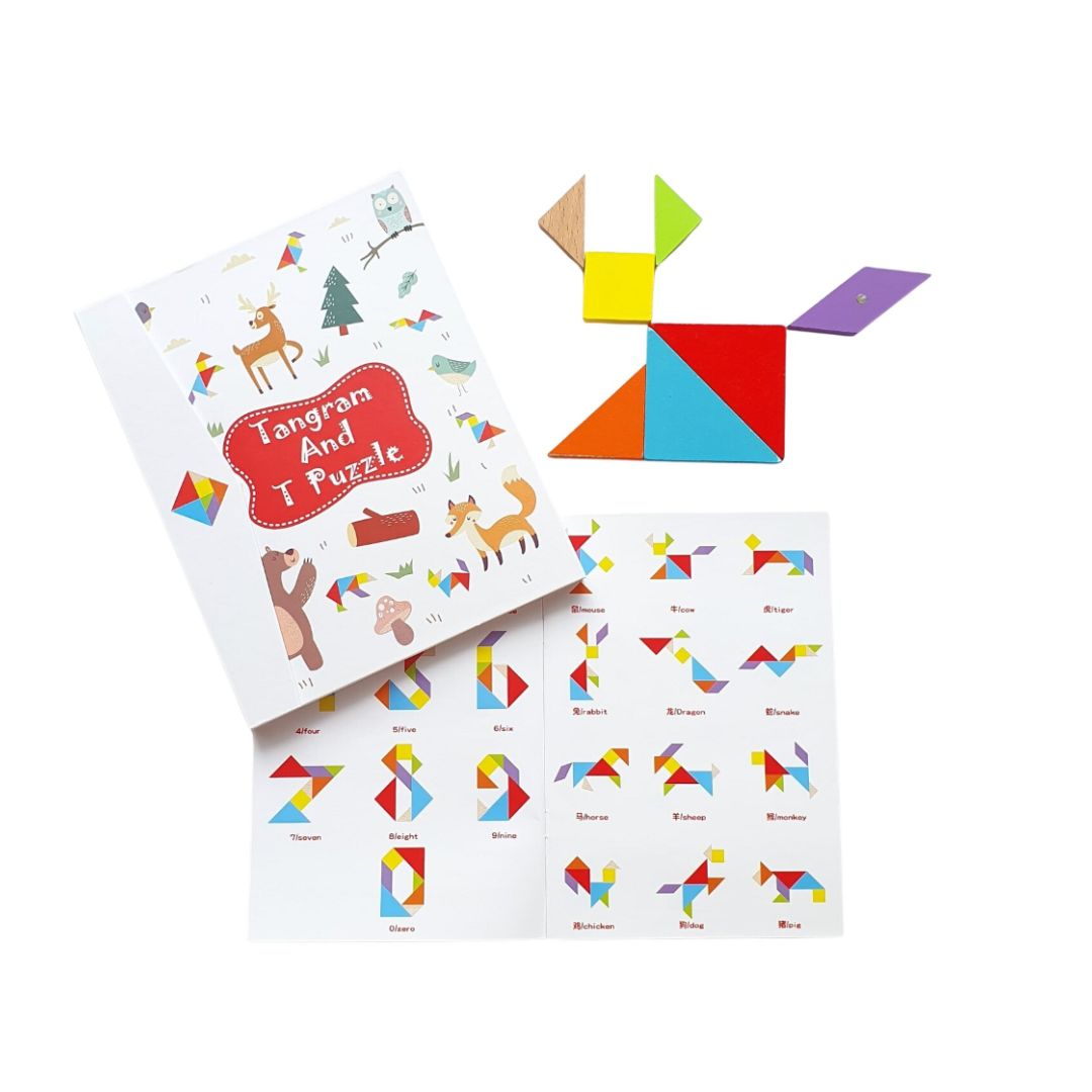 Tangram magnetic – carte educativă, 5 tematici