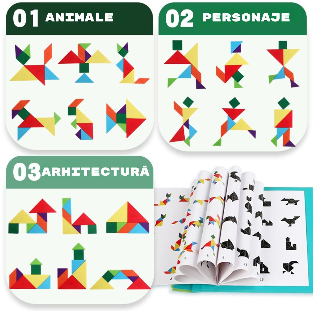 Tangram magnetic – carte educativă, 5 tematici