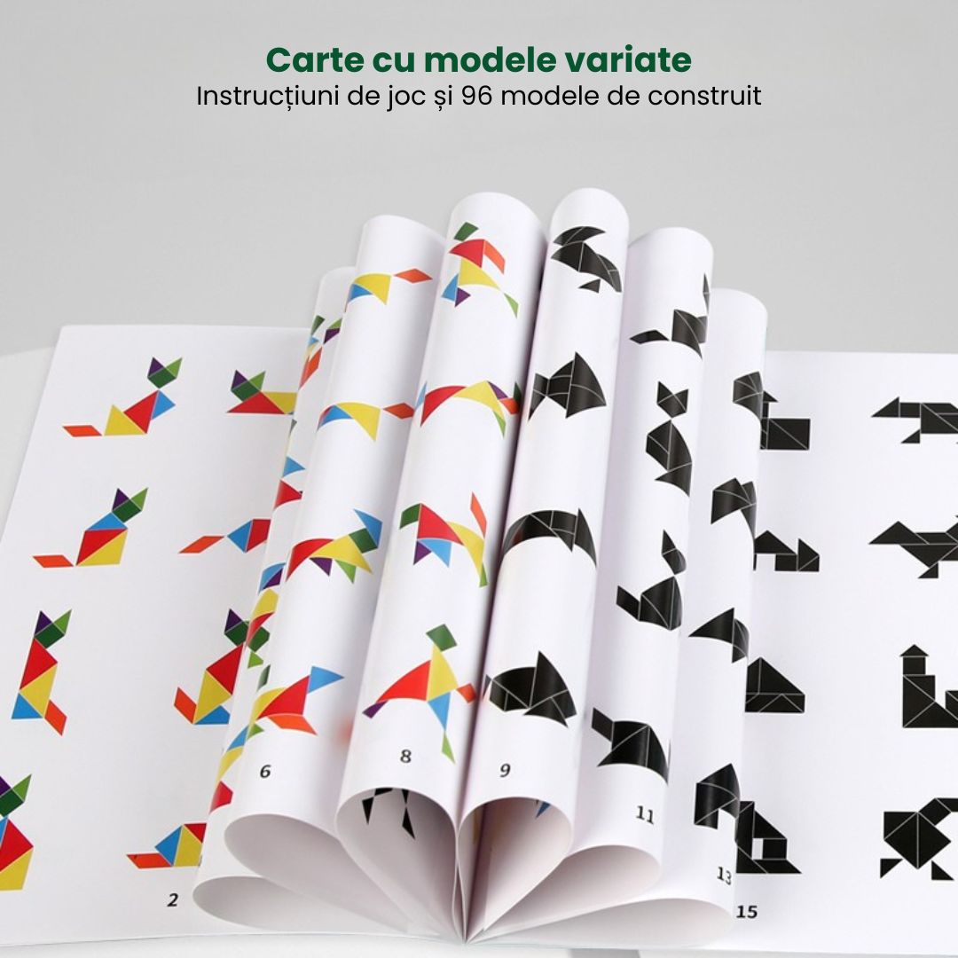 Tangram magnetic – carte educativă, 5 tematici