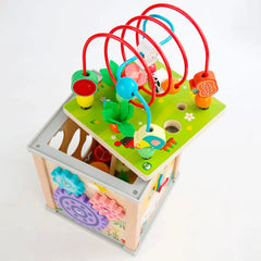 Cub Montessori din Lemn 10 în 1, cu Ciocănitoare, 2 ani+