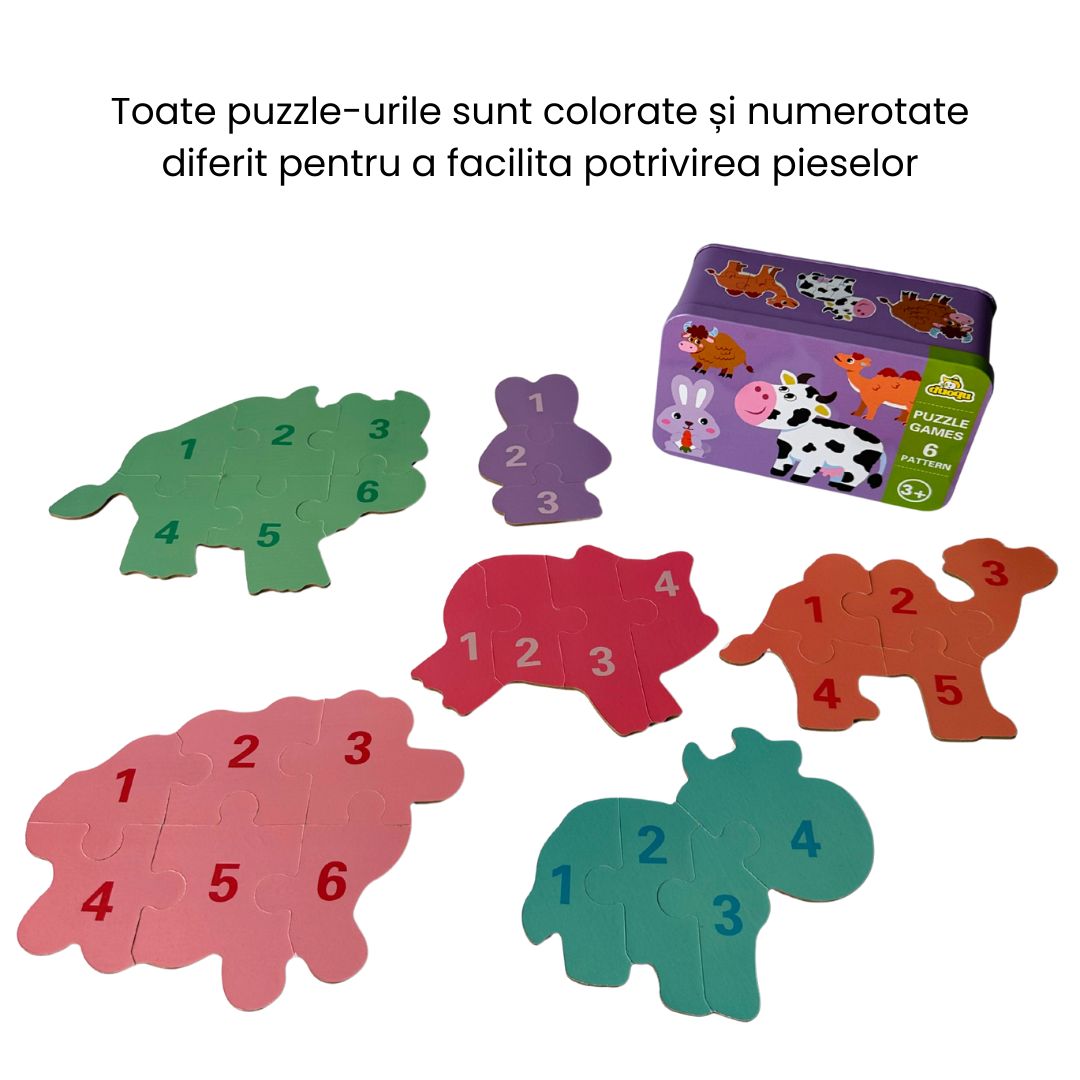 Set din 6 puzzle - 5 tematici, 3 ani+